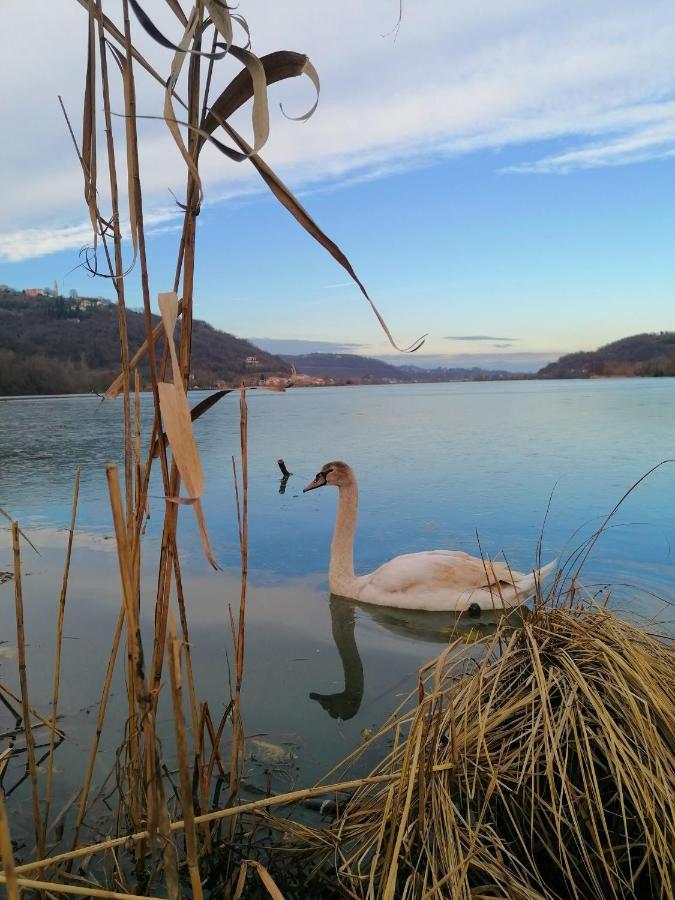 Ca' Dei Berici - Residence Ad Arcugnano Grancare Buitenkant foto