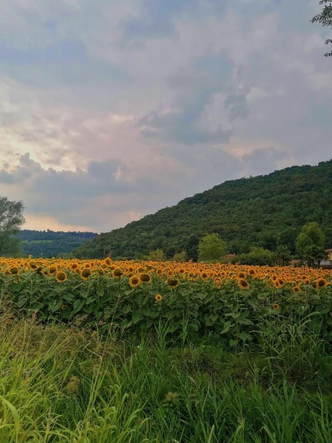 Ca' Dei Berici - Residence Ad Arcugnano Grancare Buitenkant foto