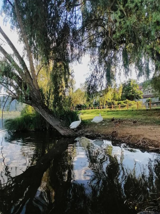 Ca' Dei Berici - Residence Ad Arcugnano Grancare Buitenkant foto